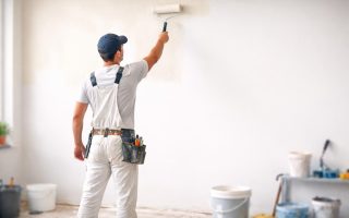 peintre-artisan-rouleau-mur-blanc